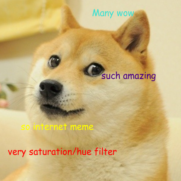 doge24.png